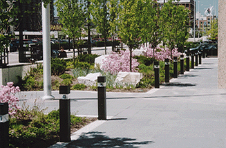 JRA_Harold Washington Social Security Center_Walkway in Spring